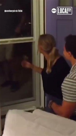 Ring-bearer adorably sets up wedding proposal