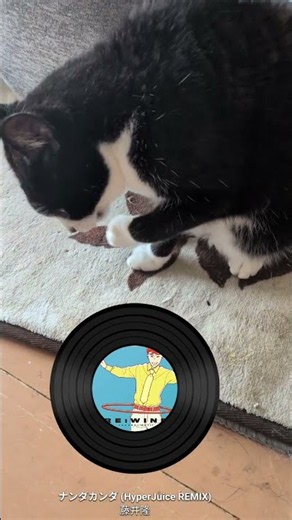 ナンダカンダ