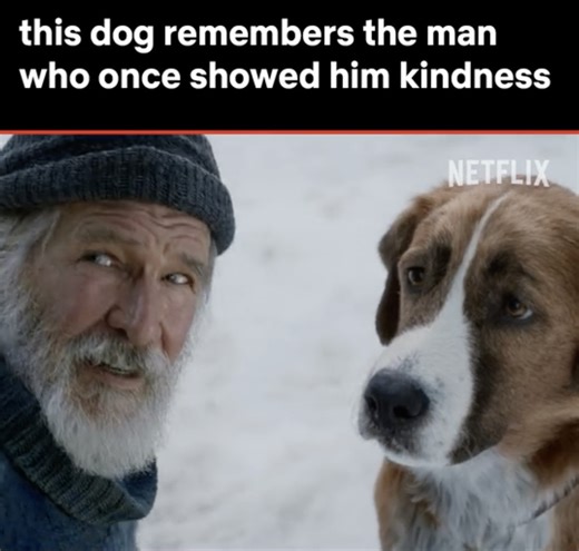 poor buck :((( | Netflix