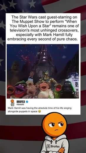 Star Wars Meets The Muppets Chaos