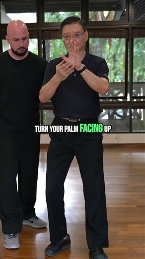 What's Really Happening Inside a Tai Chi Movement?
