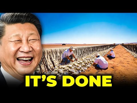 China Buried Tons of Oyster Shells in Dead Land — Years Later, What Changed Shocked the World