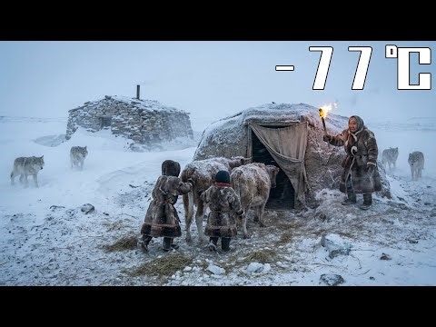 –77°C Blizzard: 91-Year-Old Grandma & Two Kids Lead Cows into an Earthen Refuge, Torch-Off vs Wolves