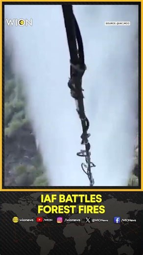 IAF Drops 12,000 Litres to Fight Lohit Valley Fires | WION SHORTS