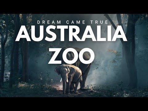 Australia Zoo Vlog 🦘 | Animals, Shows & Amazing Experiences |The Most Famous Zoo in Australia 🇦🇺