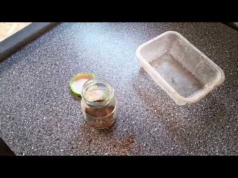 Vysoušení postupně nahromaděné včelí měli určené k povinnému vyšetření na roztoče Varroa destructor.