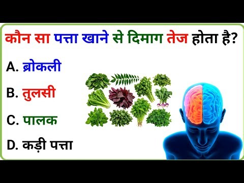 100 Interesting Gk Question || General Knowledge Question Answer || GK || 100 सामान्य ज्ञान प्रश्न