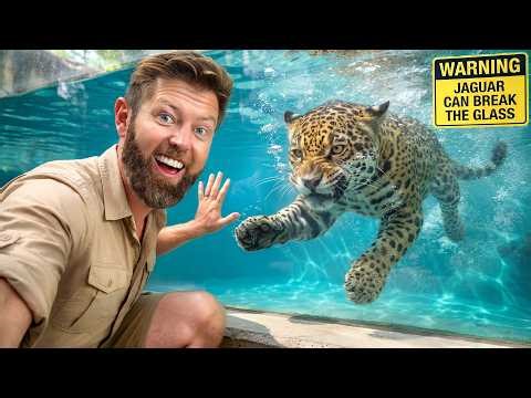 Face to Face with Brazil’s Deadliest Animals (Private Tour)