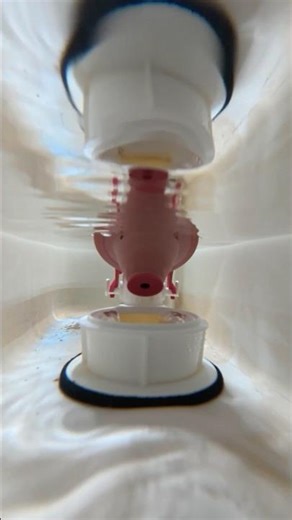 Fixing a leaking toilet with a new flapper! #asmr #diy #plumbing #shorts #subscribe #tools