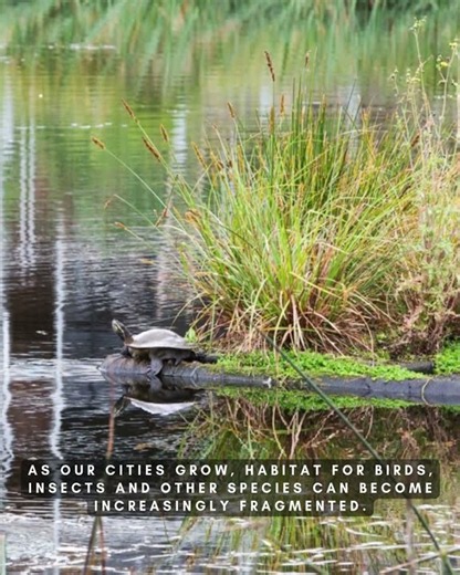 World Habitat Day 2026