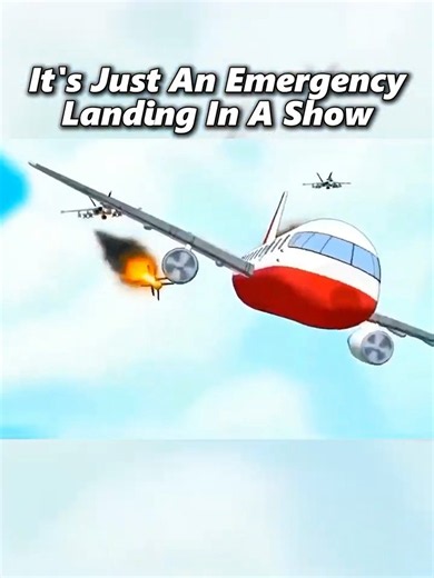 Its Not A Emergency Landing From A Movie 🥺