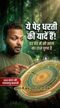 🌳Trees Remember Past: 200 Years of Climate History Hidden Inside Them. #tree #nature #shorts #facts