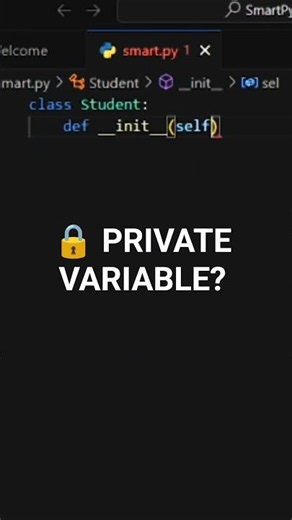 Python Encapsulation Explained 🐍 | Private Variable in Python #shorts #coding #python