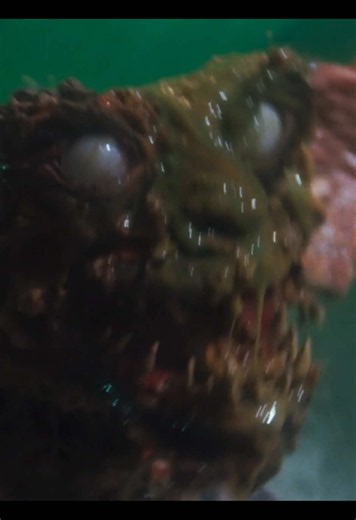 #gremlins #gremlins2 #80s #chaotic #fyp | gremlins