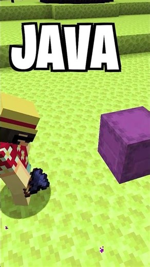 250 Java vs Bedrock: Big Differences You Need to Know in Minecraft! @Bubuplayz