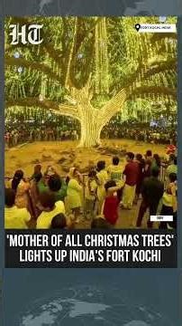 Christmas 2025: Crowds Gather in Fort Kochi to See Ancient ‘Mother of All Christmas Trees’| #shorts