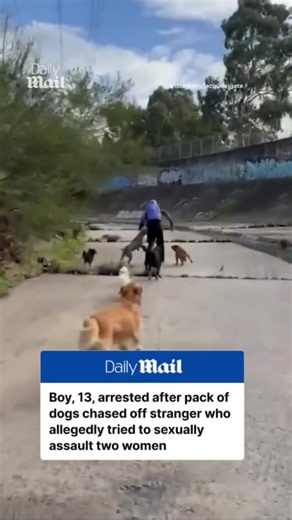 A 13-year-old boy has been arrested five weeks after the alleged attempted sexual assault of two women who were walking their dogs in broad daylight in Melbourne. The women were near Gardiners Creek in Kooyong on July 14 when they were ambushed by a stranger, who leapt from bushes and grabbed one of them. After the woman broke free, the male allegedly approached the second woman, who also managed to fight him off. Extraordinary footage showed the women's dogs turning on the alleged attacker, for