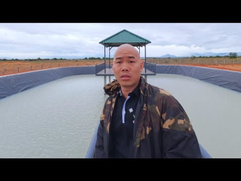 HÔM NAY PHÁT HIỆN RẮN BÒ VÀO AO CÁ | CUỘC SỐNG NÔNG DÂN 