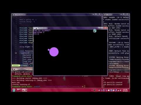 Gravity Simulation Using C++ and Raylib