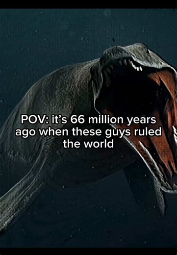 Exploring the World of Dinosaurs: T-Rex and Friends