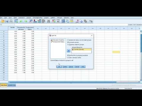 Carrying out Descriptive Analysis Across Groups in SPSS