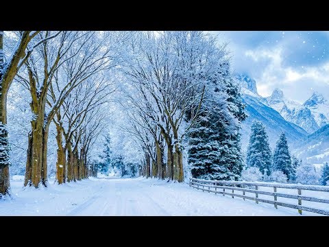 Música Relajante para Aliviar el Estrés 🌿 De Tener Ansiedad, Depresión • Sanando Mente, Cuerpo