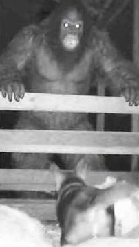 REAL Mythical Creatures Caught on Camera - Part 2