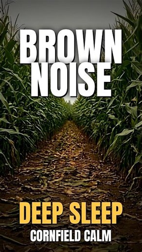 Brown Noise for Deep Sleep | Cornfield Path