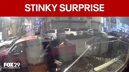 South Philly couple uses 'poop machine French Bulldog' to prank package thief