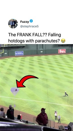 it's raining HOT DOGS?! 😭😭