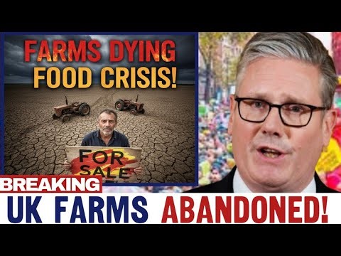 Britain’s Food Crisis Has Begun — 287,000 Acres Abandoned in 2026 Shock