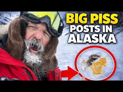 First day running Bret Bohn’s wolf trapline! 