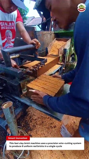 Fast Clay Brick Machine Producing 6 Red Bricks in One Precision Cut