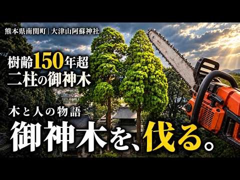 【木と人の物語】樹齢150年超！？二柱の御神木を、伐る。 【熊本県南関町-大津山阿蘇神社-】ノンフィクションドキュメンタリー「木と人の物語」シリーズ。