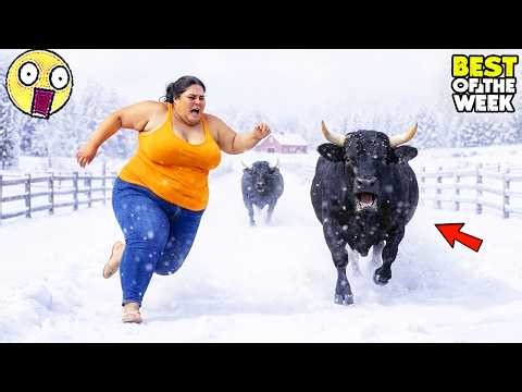 TRY NOT TO LAUGH #41 | 😂 Best Fails of The Week | Instant Regret Fails Compilation 2026