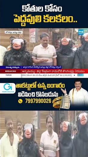 Sarpanch’s Unique Trick to Drive Away Monkeys | Village Solution Goes Viral 🐻🐒| Sakshi TV