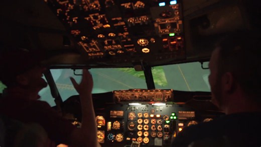 Watch the simulated crash that shocked everyone in the cockpit