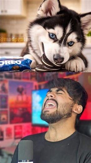 Oreo Biscuit maang ke galti kardi😵‍💫😩