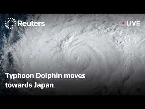 LIVE: Typhoon Dolphin moves towards Japan