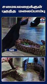 Kerala | Kannur | Python | Snake Rescue