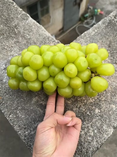 #fypシ゚viral #foryou