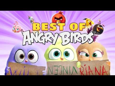 Angry Birds Best Moments! ⭐