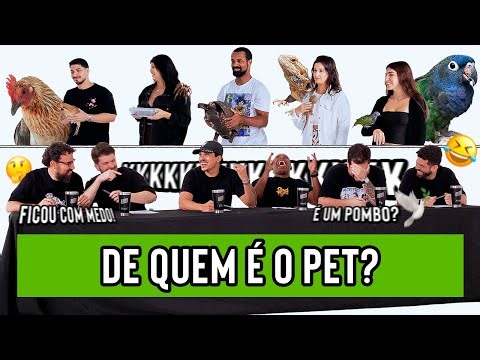 DE QUEM É O PET 2?