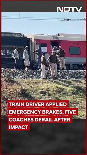 Seven Wild Asiatic Elephants Killed After Rajdhani Express Hits Herd In Assam