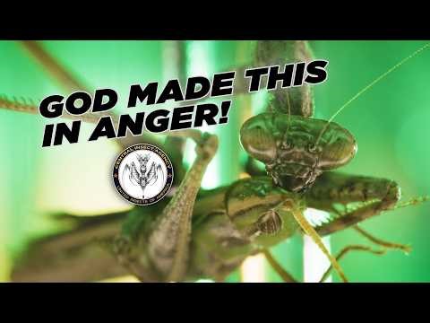 Alien God, Werner Herzog, Teaches the Harmony of Collective Murder // CIA Transmission