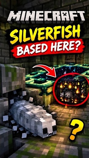 Why Does Minecraft Have Silverfish Here? 🤔
