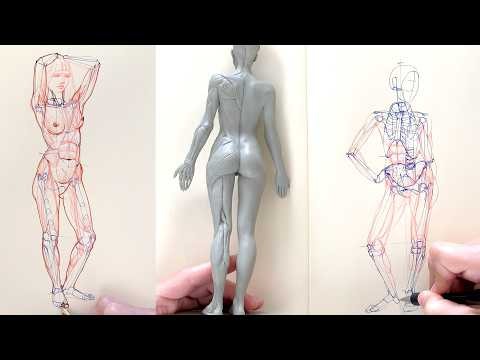 Drawing Tutorial - How to Draw Standing, Sitting and Dynamic Poses