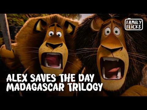 Alex (Ben Stiller) Has the Best Fight Scenes! | Madagascar Compilation