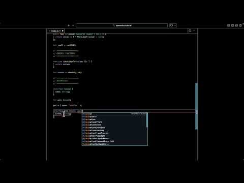 S07 L04 TypeScript Interfaces (and Extending Models)
