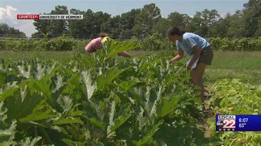 UVM launches applications for online master’s program in agroecology